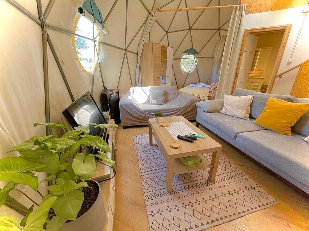 Olive Dome - כיפה גיאודזית ענקית ומודרנית בין עצי הזית Yavneʼel