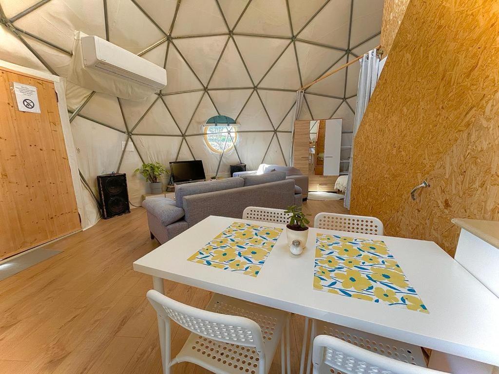 Olive Dome - כיפה גיאודזית ענקית ומודרנית בין עצי הזית Yavneʼel