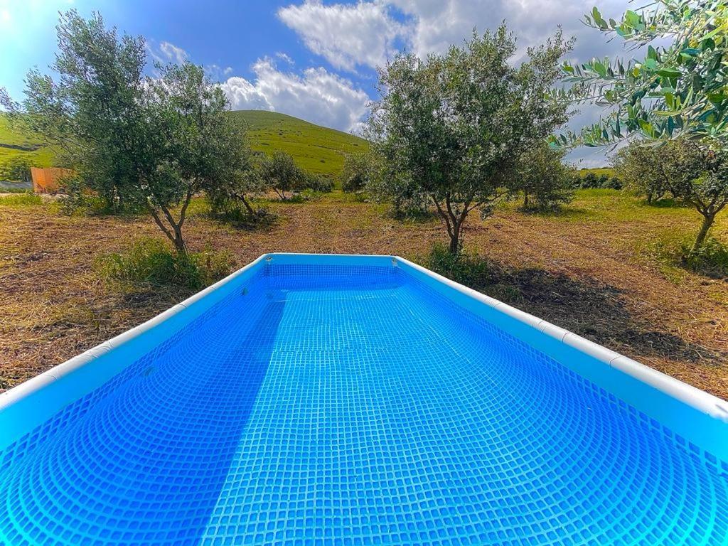 Tente de luxe Olive Dome - כיפה גיאודזית ענקית ומודרנית בין עצי הזית *